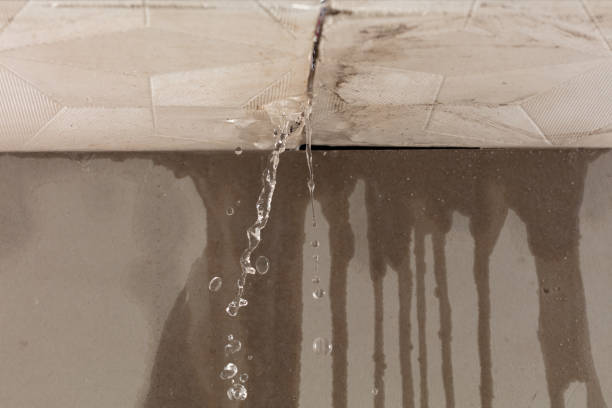 Professional Structural Drying technician working in Silt, CO
